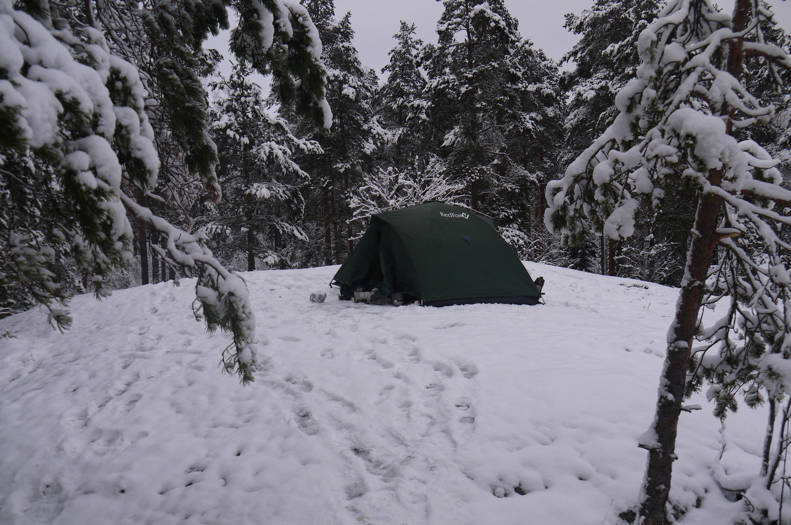 Winter creeps up on Peter - My, Tourism, Winter, Hawk Lake, Tag, Longpost