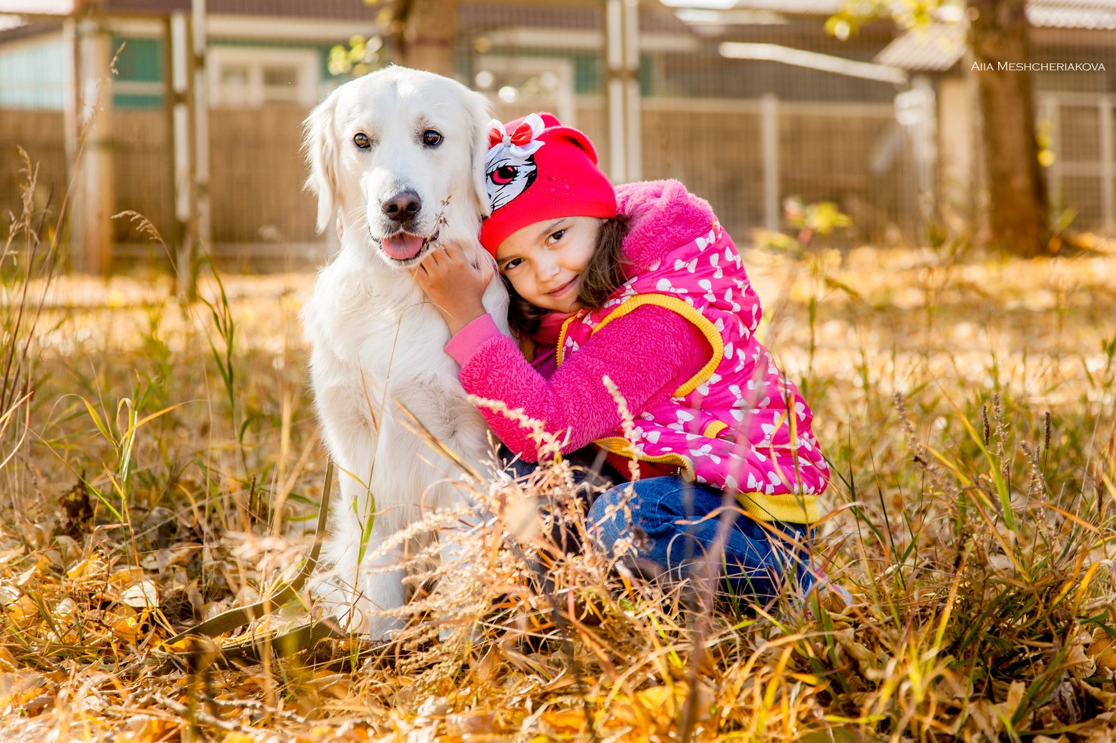 Photo report from charity photo shoots - My, Beginning photographer, Charity, Dogs and people, Provinces, Animal Rescue, Thank you, Longpost