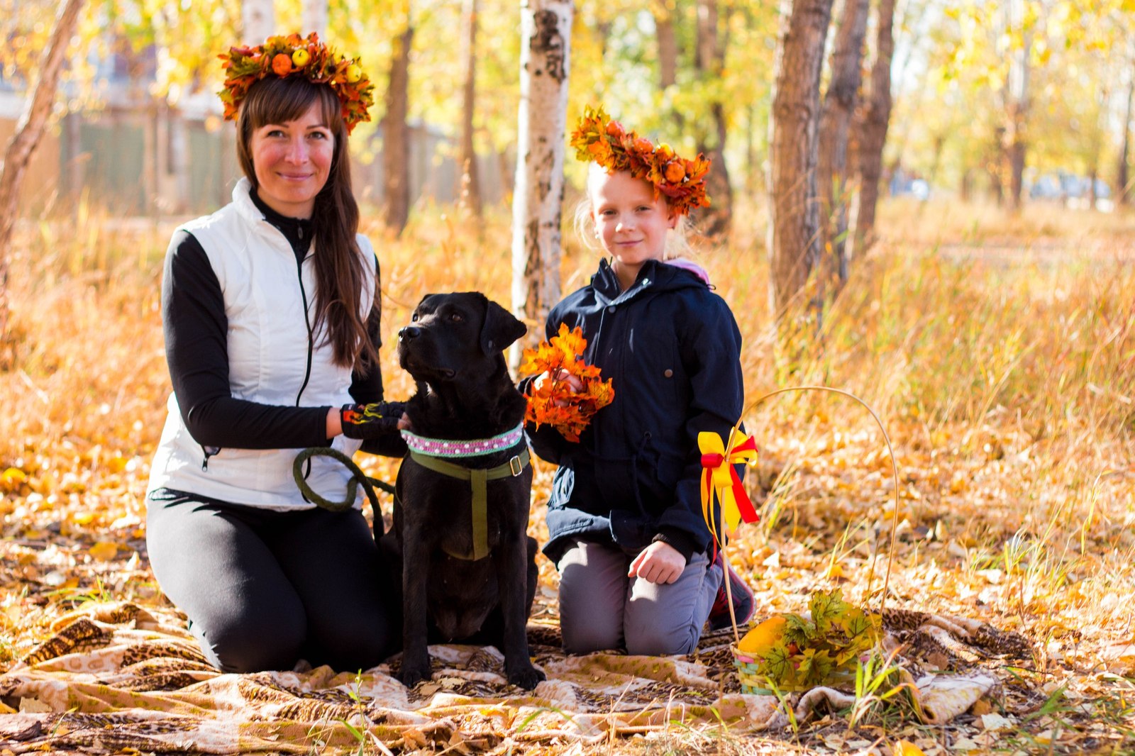 Photo report from charity photo shoots - My, Beginning photographer, Charity, Dogs and people, Provinces, Animal Rescue, Thank you, Longpost