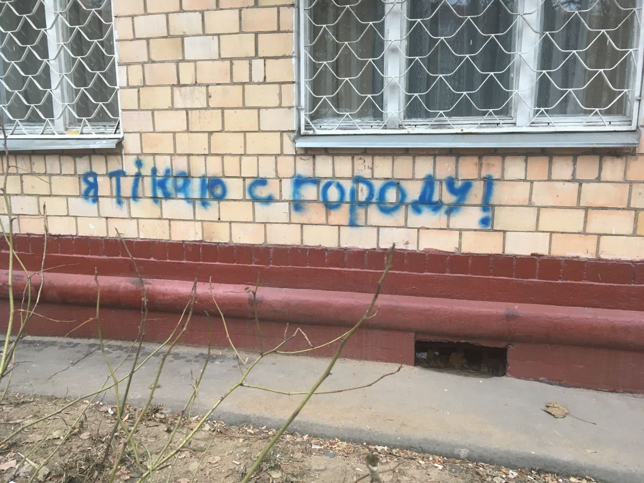 Pigeons flew for the winter. - My, Vandalism, My, Moscow