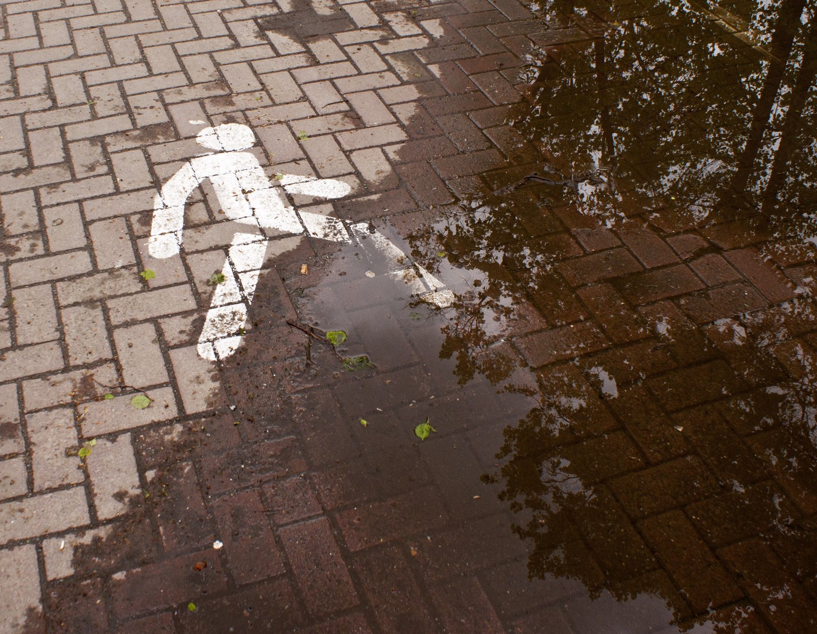 Miscellaneous-2 - My, Tree, Tile, Lenin, Pipe, Puddle, Stall, Bench, Longpost