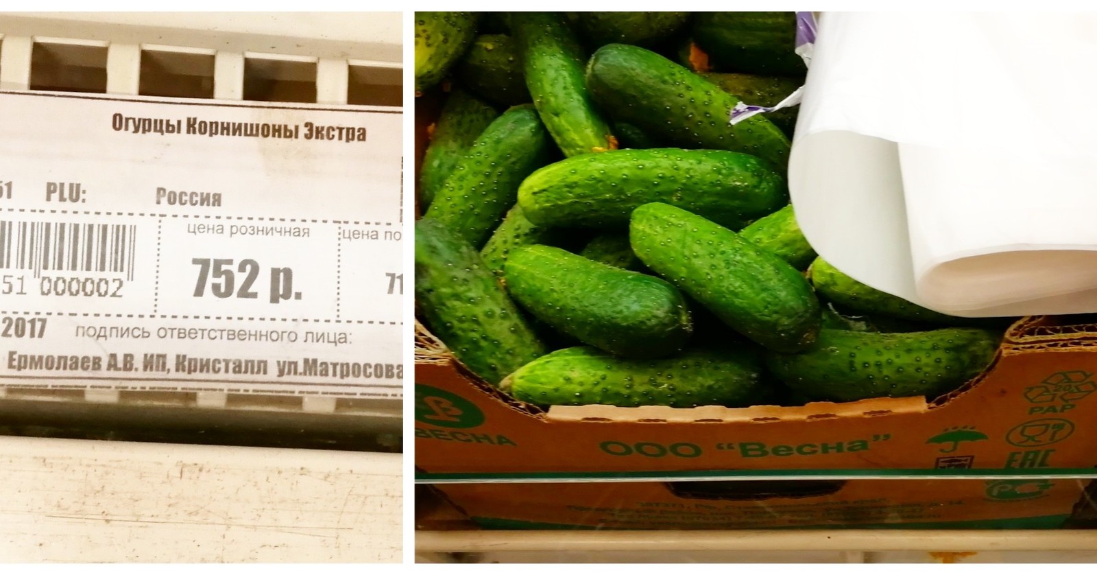 golden cucumbers - My, Yamal, YaNAO, Salekhard, Prices, Cucumbers