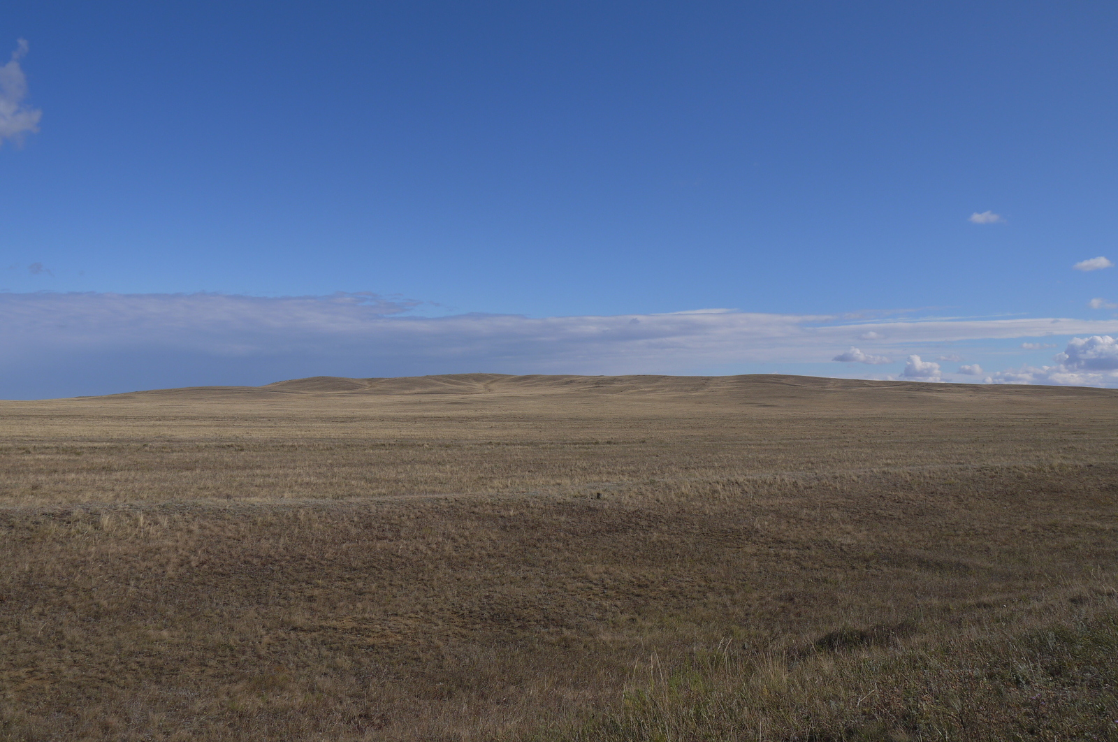 Bike ride 5500m long. Final - My, A bike, Idiocy, Tourism, Kazakhstan, Novosibirsk, Video, Longpost