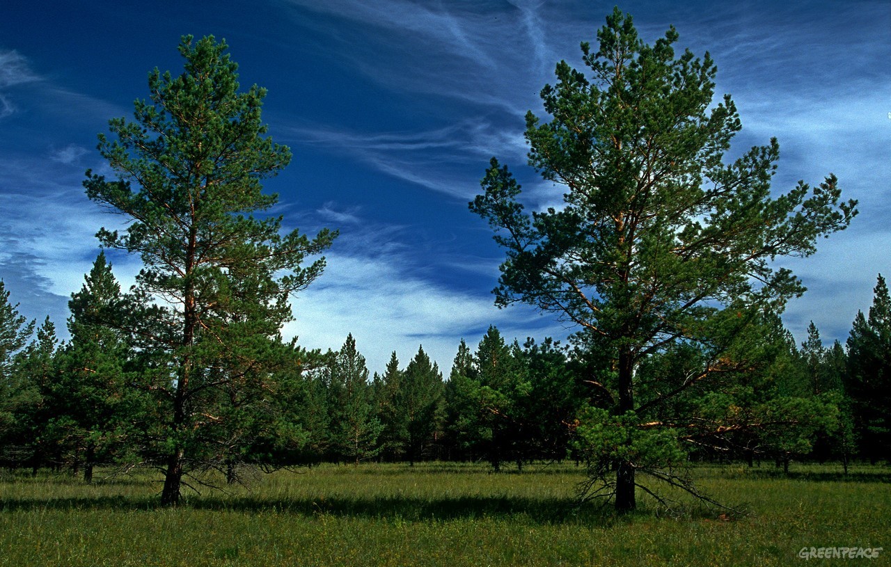 Landscapes of Dauria - Nature, Russia, Reserves and sanctuaries, Dauria, beauty of nature, Nature photo, Longpost