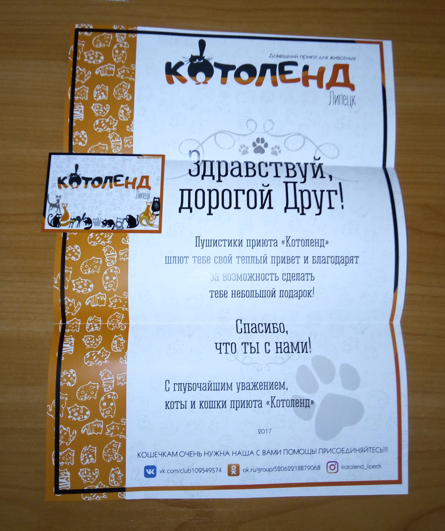 Thank you Kotoland! - My, Cotoland, Presents, cat, Magnets, Longpost, Shelter Cotoland