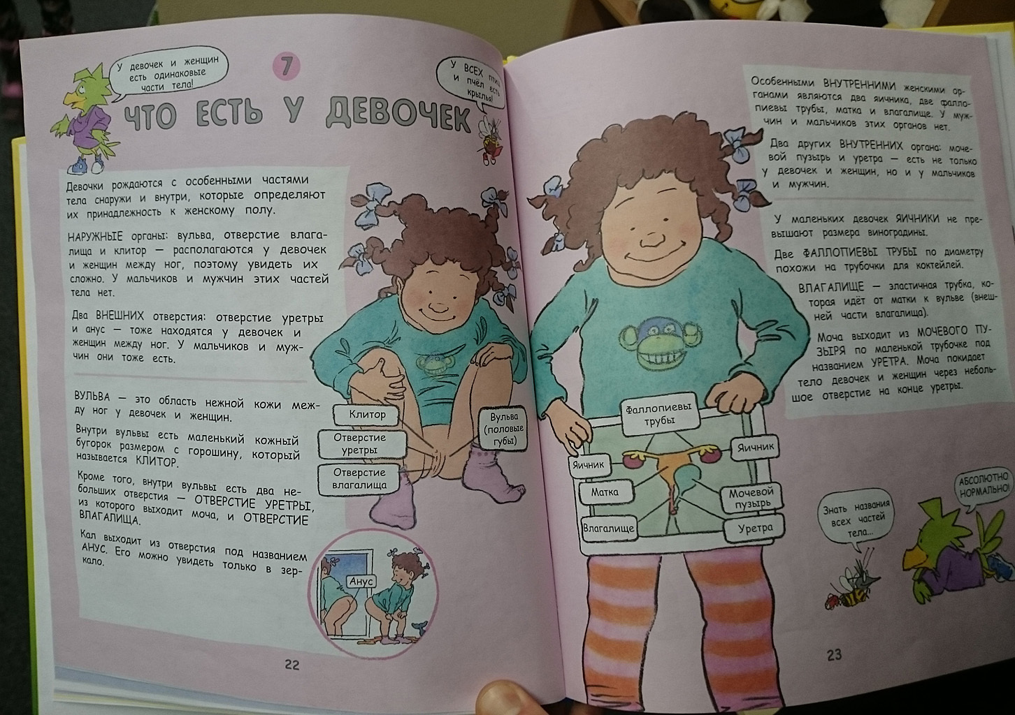 Children's book about anatomy, without any censorship and in general everything is detailed. - NSFW, What's this?, Anatomy, , Longpost