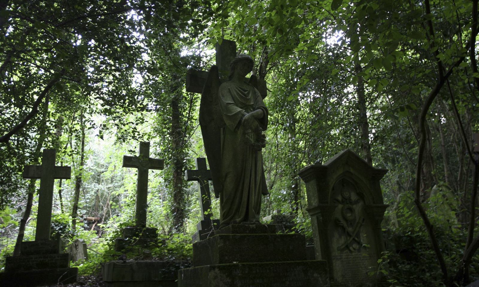 Highgate Cemetery - Хайгейтское кладбище, Лондон, Великобритания, Картинка с текстом, Длиннопост