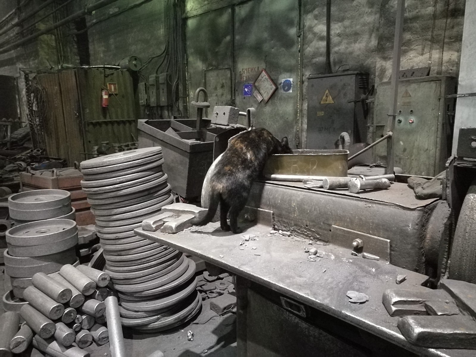 The hard life of a shop cat. - My, Foundry, cat, Work, Longpost