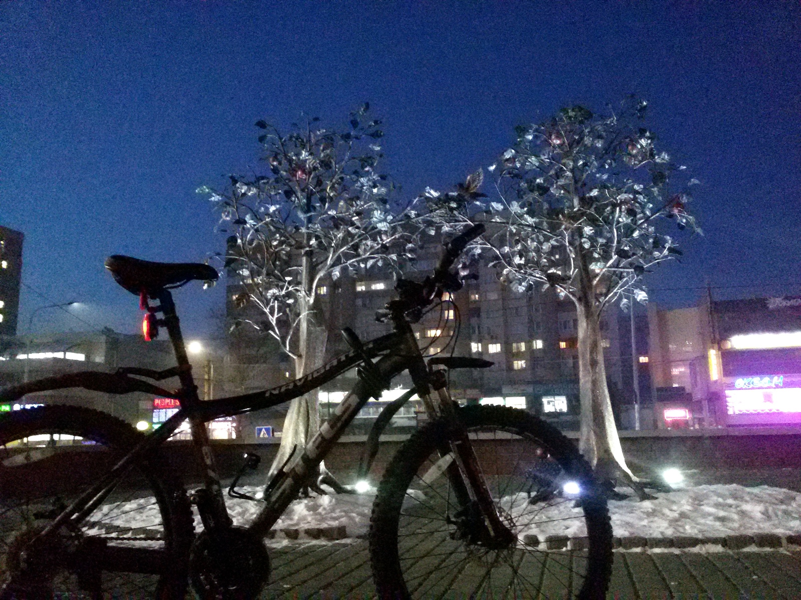 Winter trees... made of metal. - My, , A bike