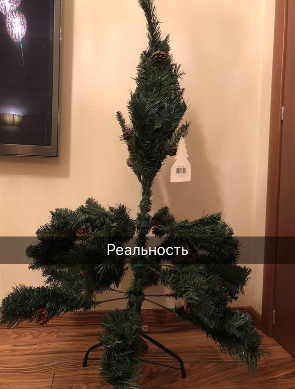 I ordered a tree here - New Year, Christmas trees, Expectation and reality, Longpost