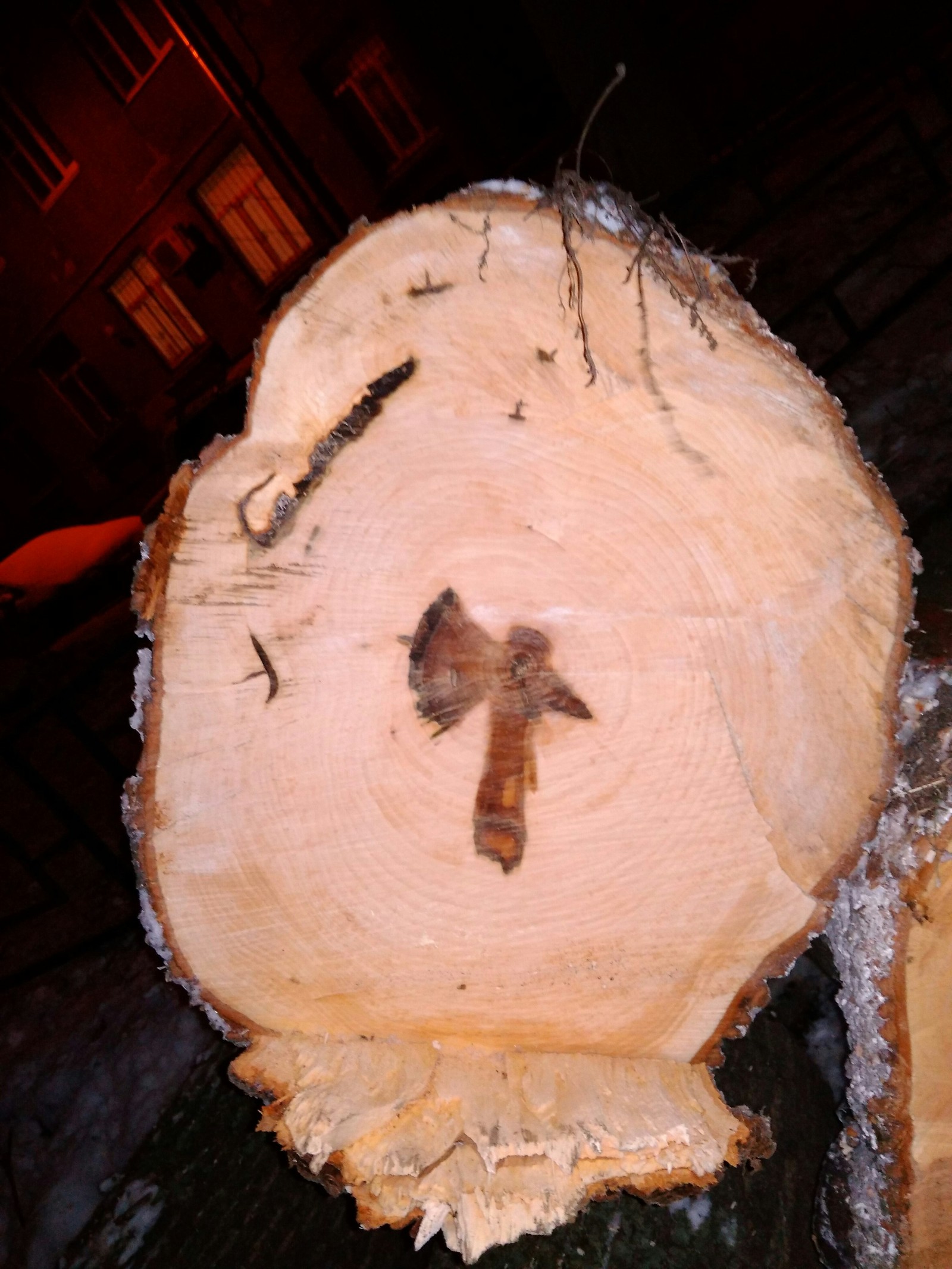 Murder weapon on a felled tree) - My, Tree, Drawing, Nature, Longpost, Axe