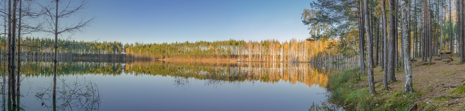 Lake Izyary in October - My, Chuvashia, Cheboksary, Zavolzhye, , Lake, Forest, Autumn, October, Longpost