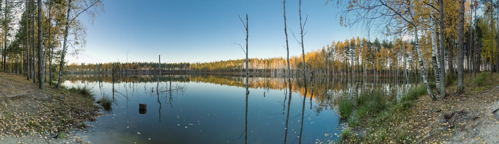 Lake Izyary in October - My, Chuvashia, Cheboksary, Zavolzhye, , Lake, Forest, Autumn, October, Longpost