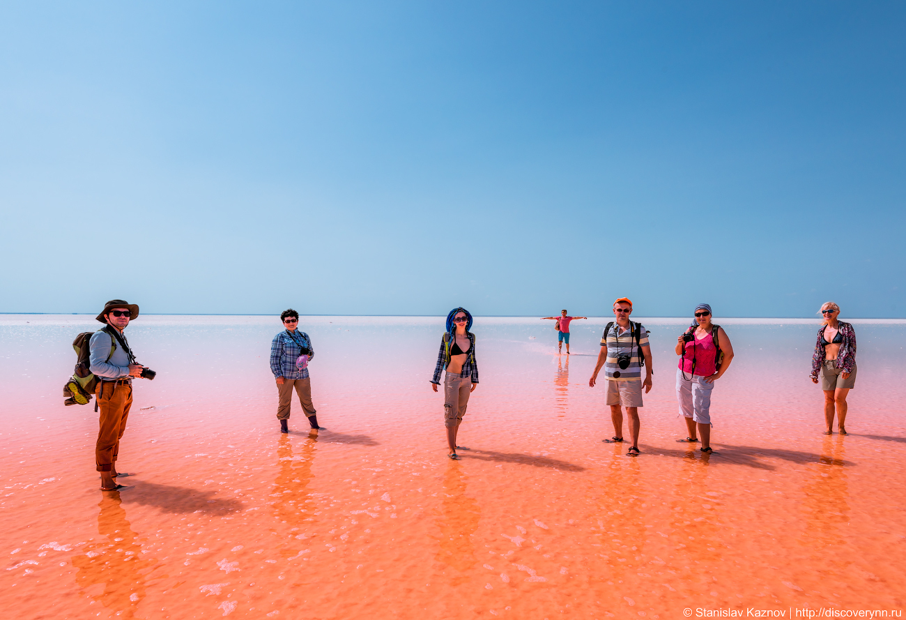 Blooming Elton - My, Elton, Lake Elton, Travels, Russia, The photo, Photographer, Photo tour, Salt, Longpost