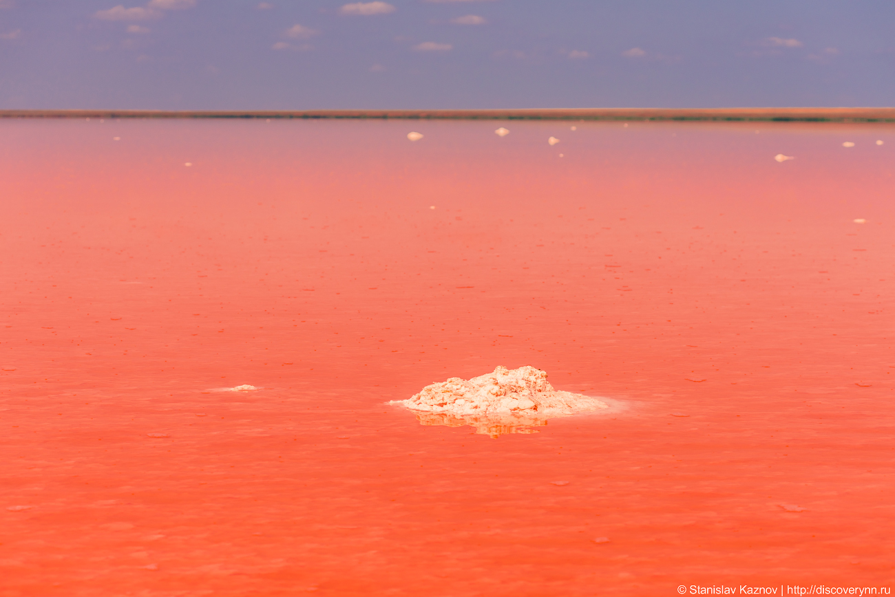 Blooming Elton - My, Elton, Lake Elton, Travels, Russia, The photo, Photographer, Photo tour, Salt, Longpost