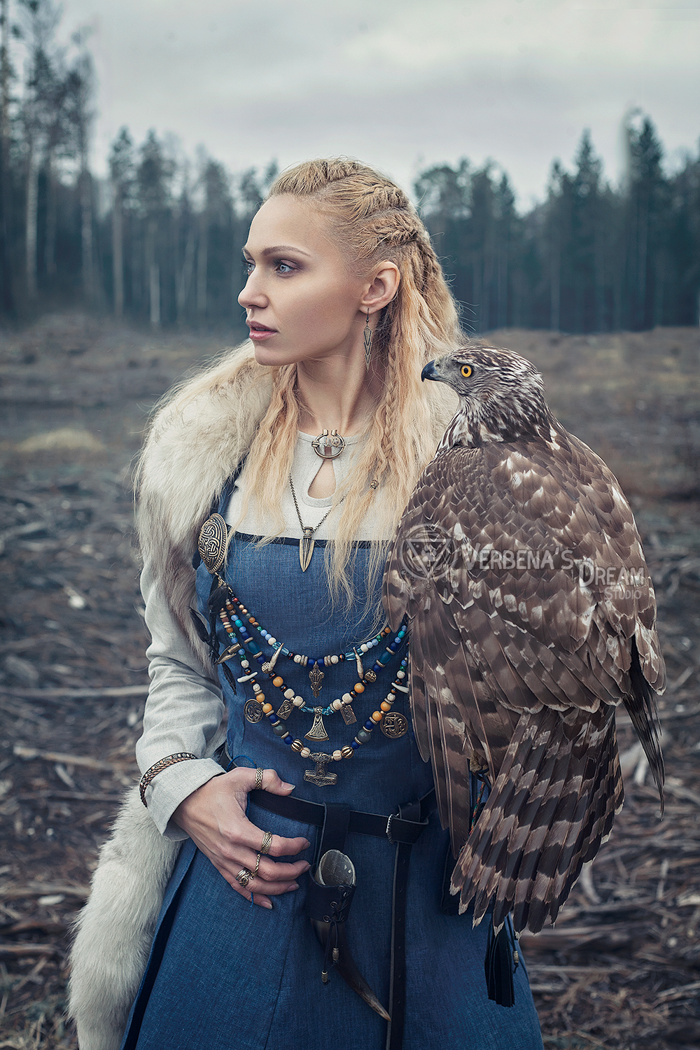 Vikings by Verbena's Dream Studio - Викинги, Nordic, Scandinavia, North, Valkyrie, Cosplay, Longpost