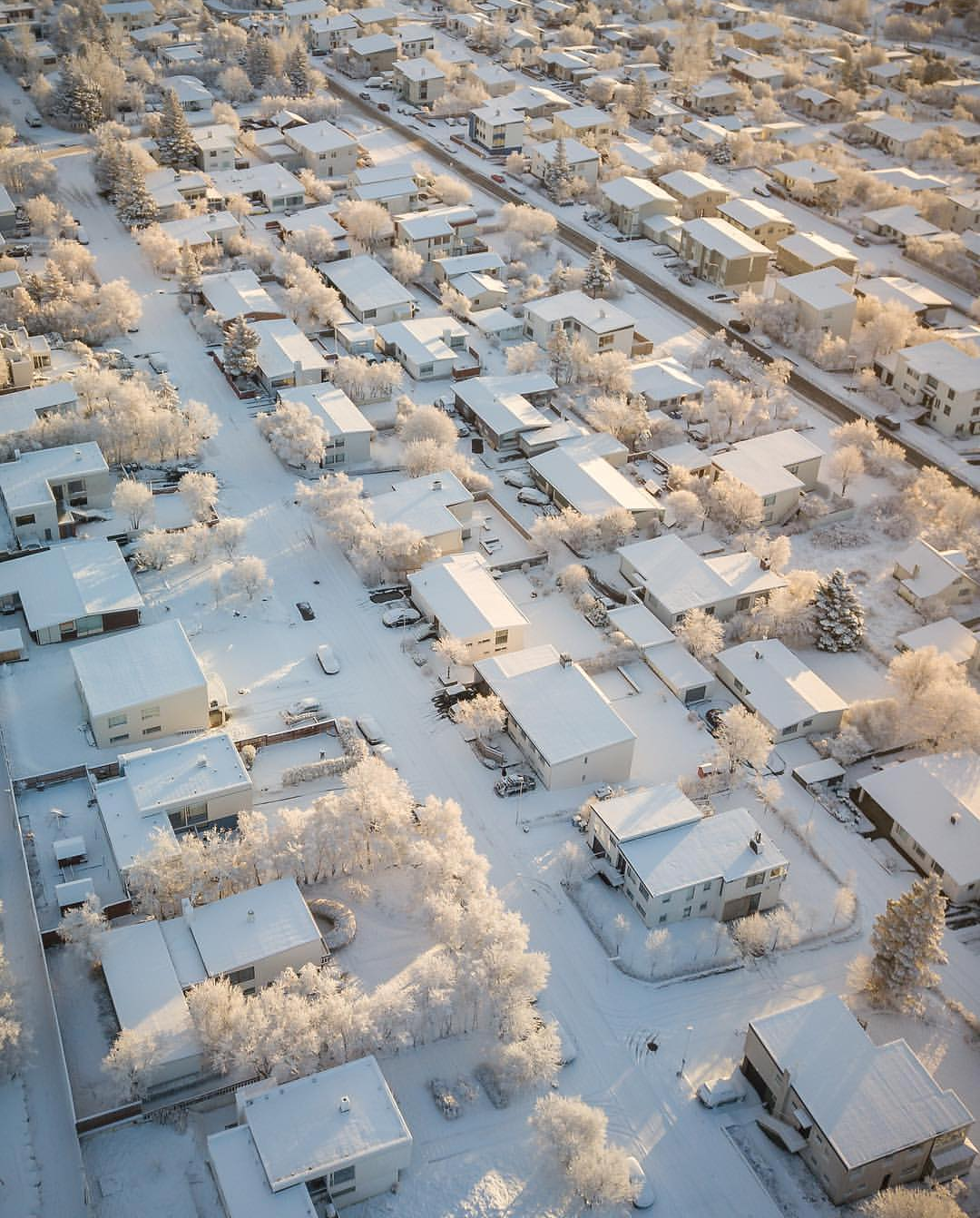 Quiet town - Snow, The street, Tree, House, Reykjavik