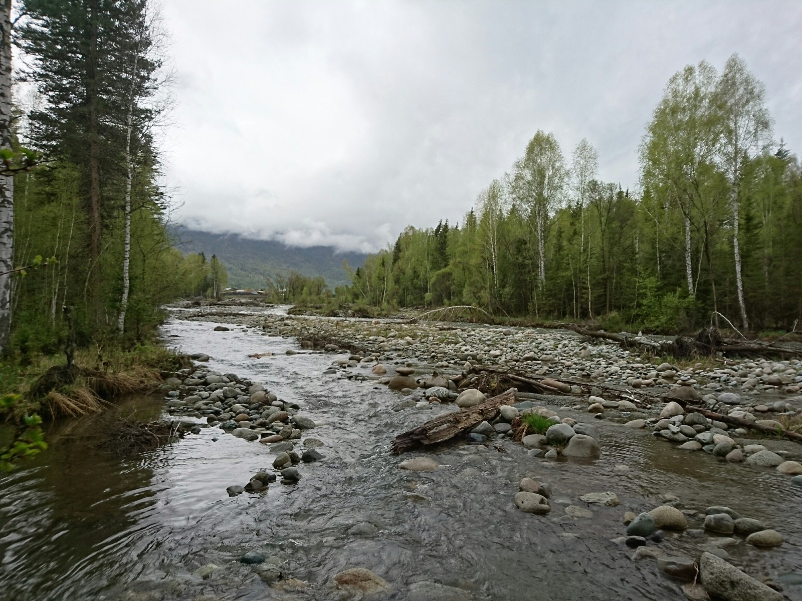 Алтай фото.Все фотографии сделаны с телефона. | Пикабу