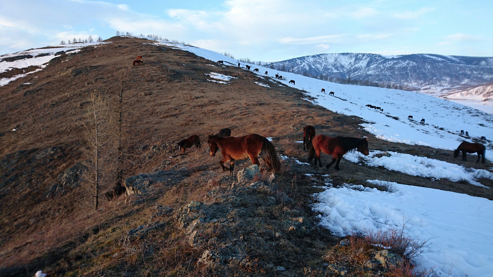 Алтай фото.Все фотографии сделаны с телефона. | Пикабу