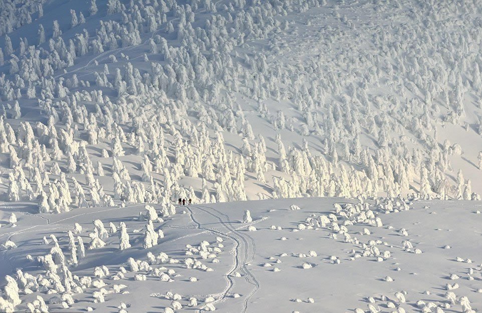 Mountains of Hakkoda (Aomori Prefecture, Japan) under the snow. - The photo, The mountains, Japan, Snow, Not mine, Longpost