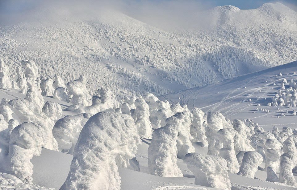 Mountains of Hakkoda (Aomori Prefecture, Japan) under the snow. - The photo, The mountains, Japan, Snow, Not mine, Longpost