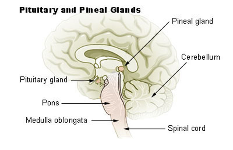 Fluoridation is a program to exterminate people. Facts from the folder. part 18 - Conspiracy, Longpost, Masons, Reptilians, Liquidoreptiloids, USA, I, 