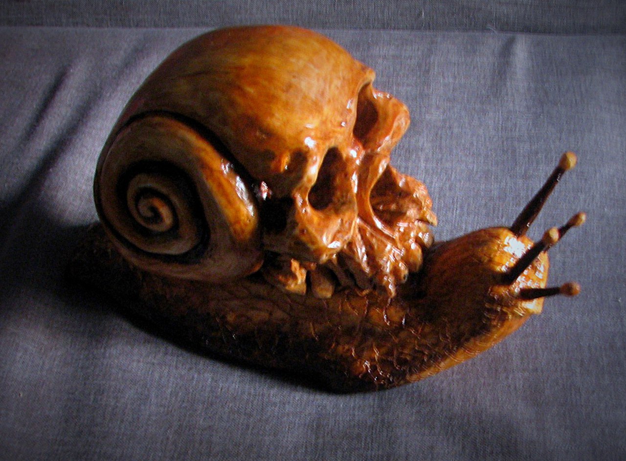 Snail skull, wood carving - My, , Wood carving, Snail, Scull, Longpost