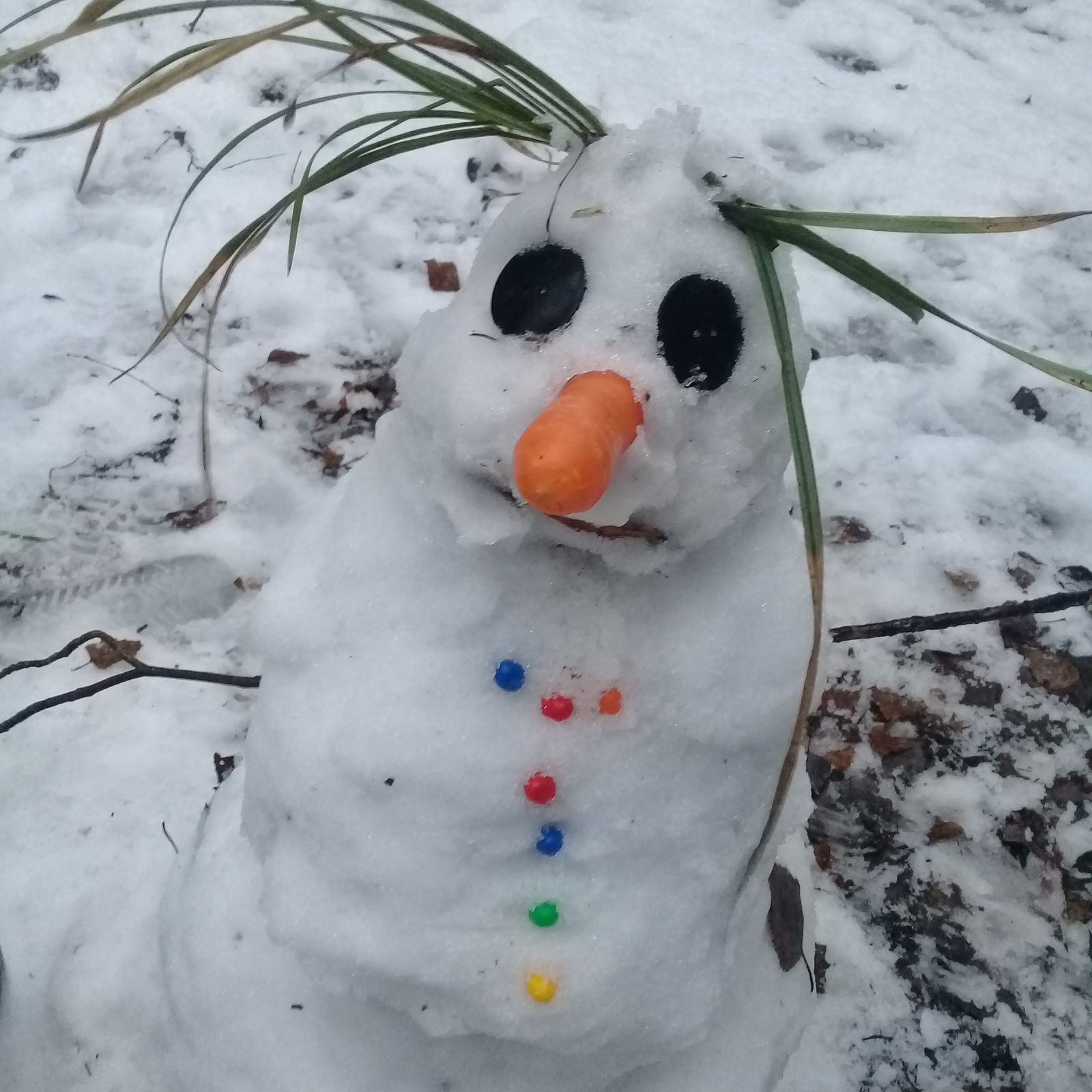 Domestic winter waiting - My, Zhdun, Winter, Russia, snowman