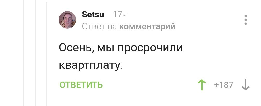 Ветка Шевчука - Юрий Шевчук, Осень, Комментарии, Скрины коментариев, Комментаторы, Пикабу, Скриншот, Гифка, Длиннопост