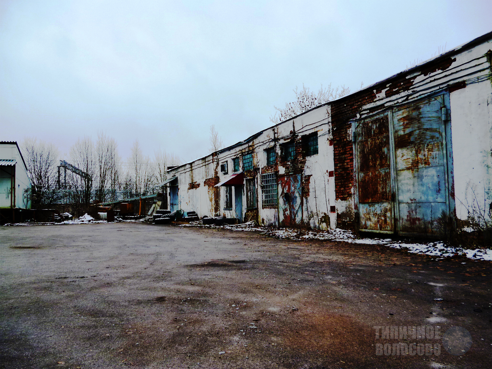 Abandoned dairy plant in Volosovo - My, Abandoned, Dairy, Volosovo, Leningrad region, Longpost