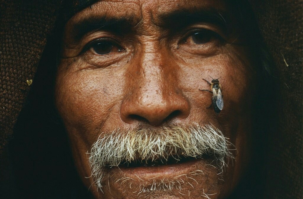 Inhabitants of the Himalayas. Photo by Eric Valli. - The photo, Himalayas, Photographer, Longpost