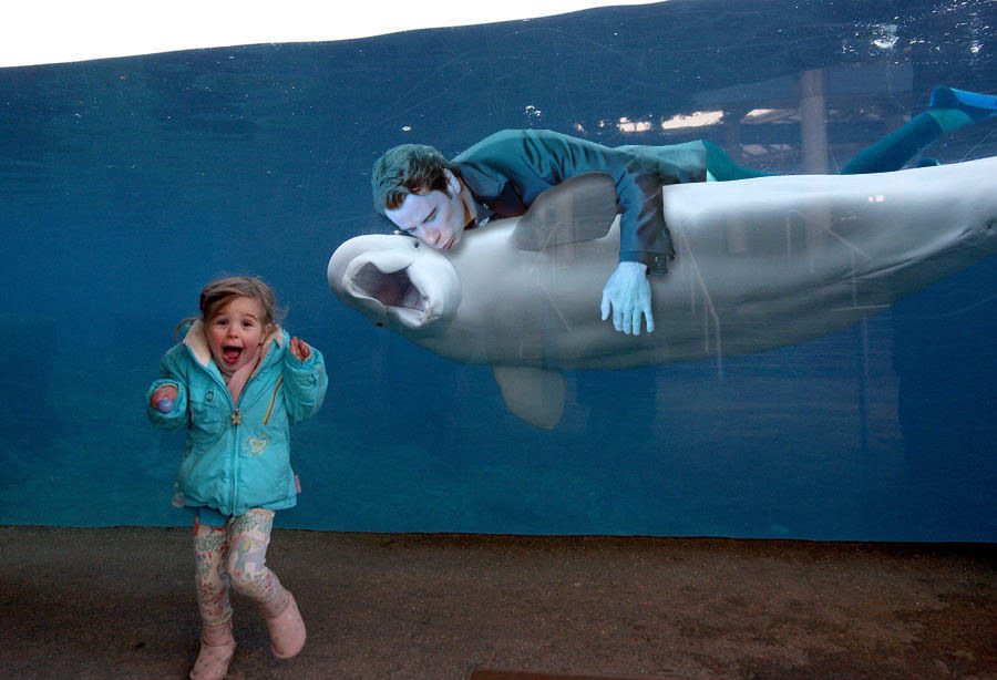 Surprised girl and white whale (fotoebi) - Belukha, Fotozhaba, Tjournal, The photo, Reddit, Longpost