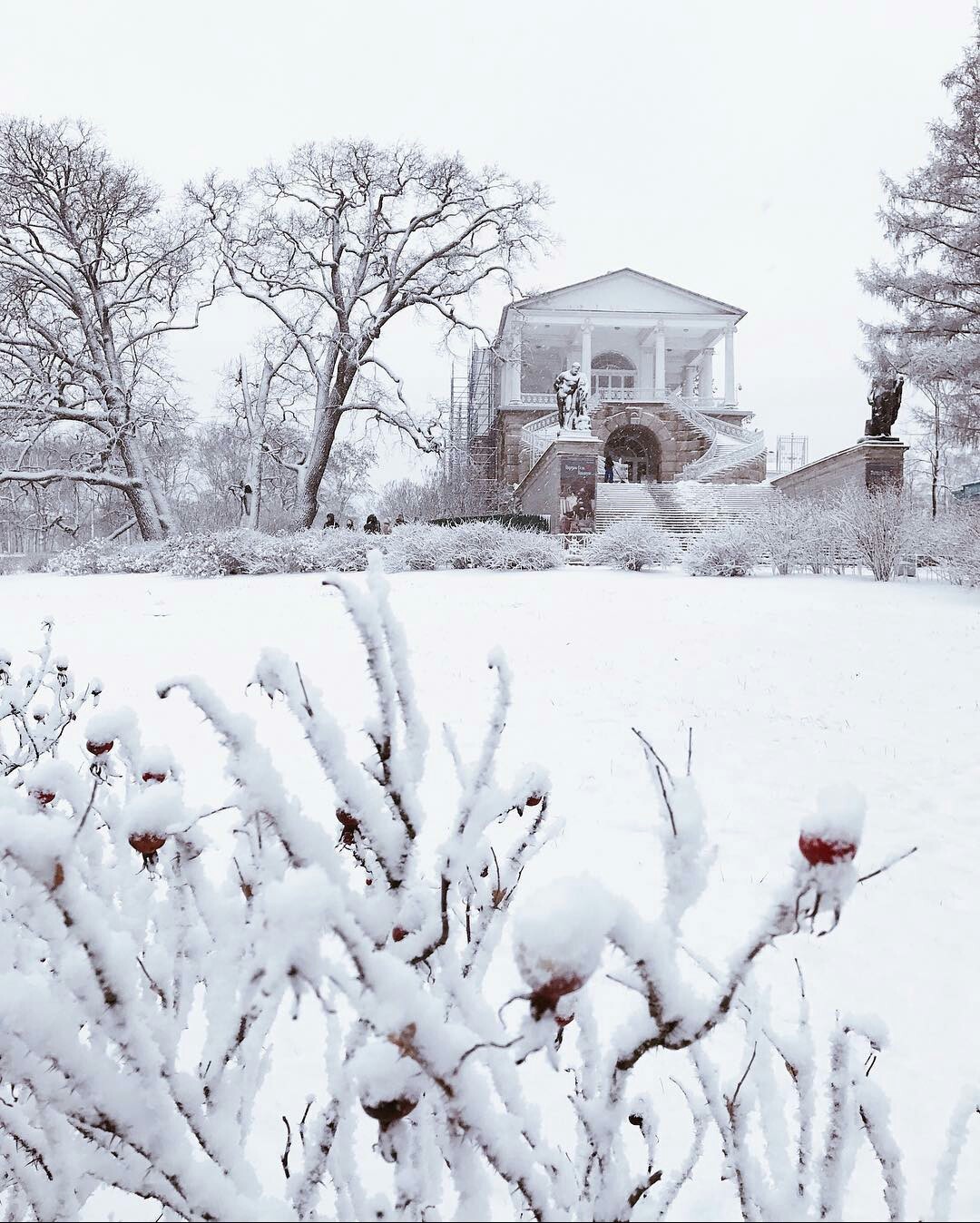 Fluffy snow covered the Catherine Park. - December, Snow, Pushkin, Catherine Park, beauty