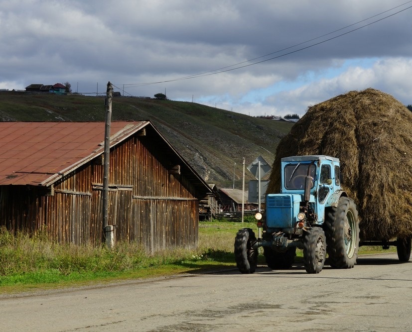 Rural sketches. The village of Kaga, Beloretsky district, Bashkiria - Village, Kaga, A selection, Copy-paste, Longpost, Nature