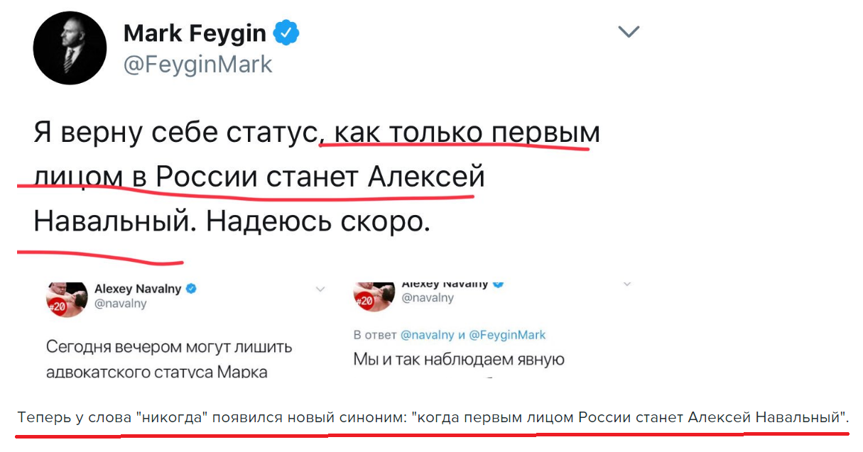 Feykin vangue... - Russia, Politics, Feigin, Screenshot, Twitter, Livejournal, Alexey Navalny