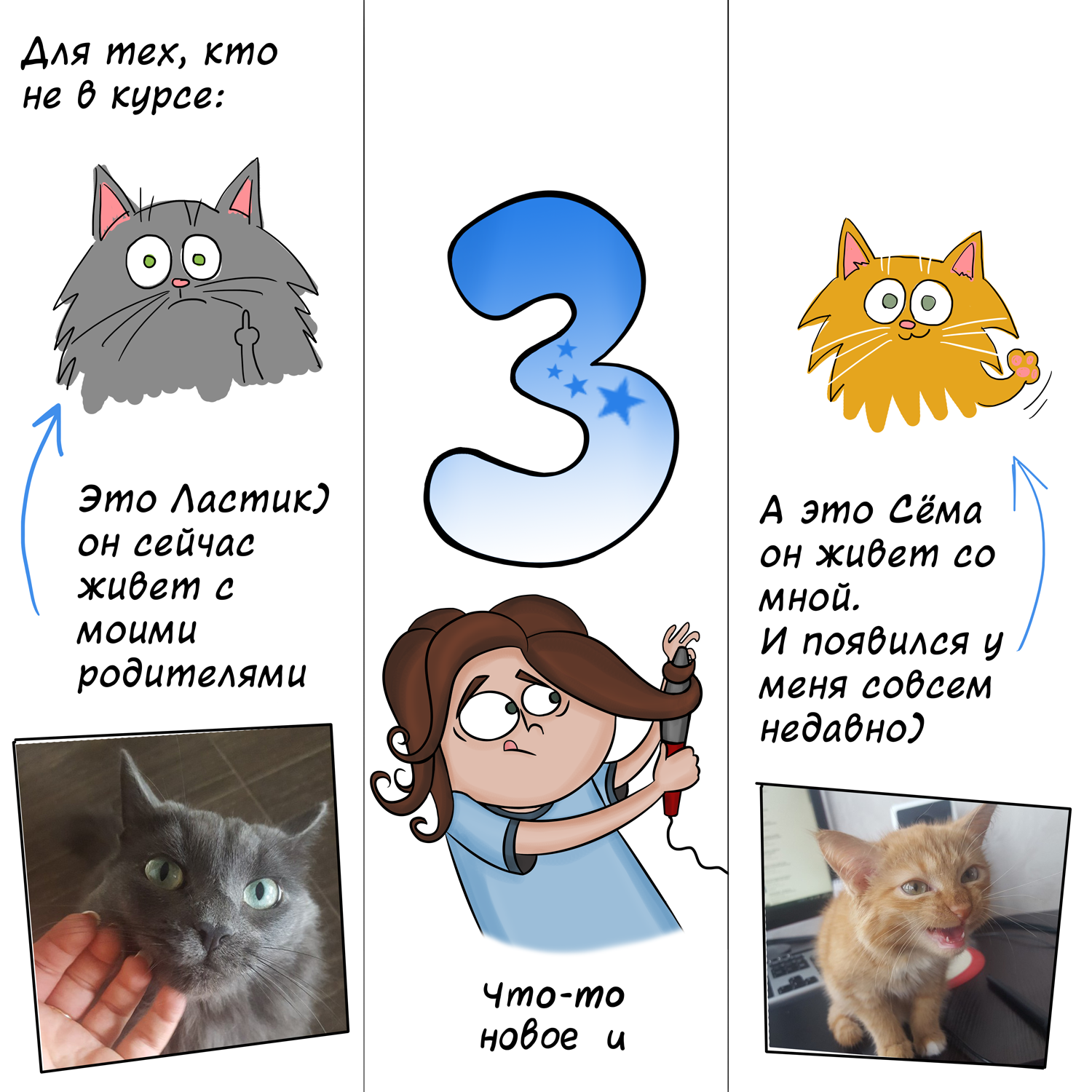 Gift for the New Year)) - My, Alpha Comics, The calendar, cat, Presents, Longpost