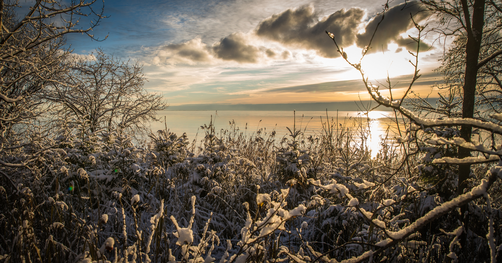 The Gulf of Finland - My, Leningrad region, The Gulf of Finland, Ushkovo, Canon 24-70, Longpost