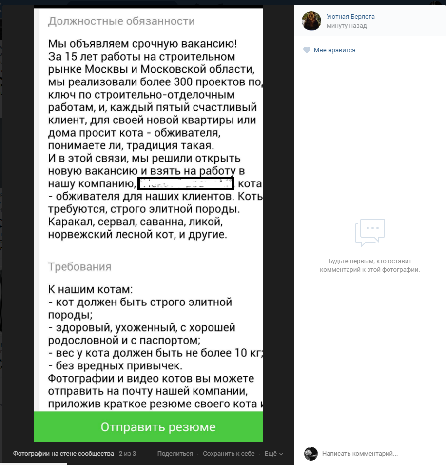 Лучше условия труда, чем у меня - Моё, Работа, Кот, Работа мечты, ВКонтакте, Уютнаяберлога, Длиннопост