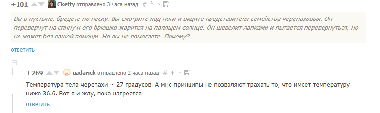 Коварные ответы при приеме на работу - Секс, NSFW, Пустыня, Черепаха, Собеседование, Комментарии на Пикабу, Юмор