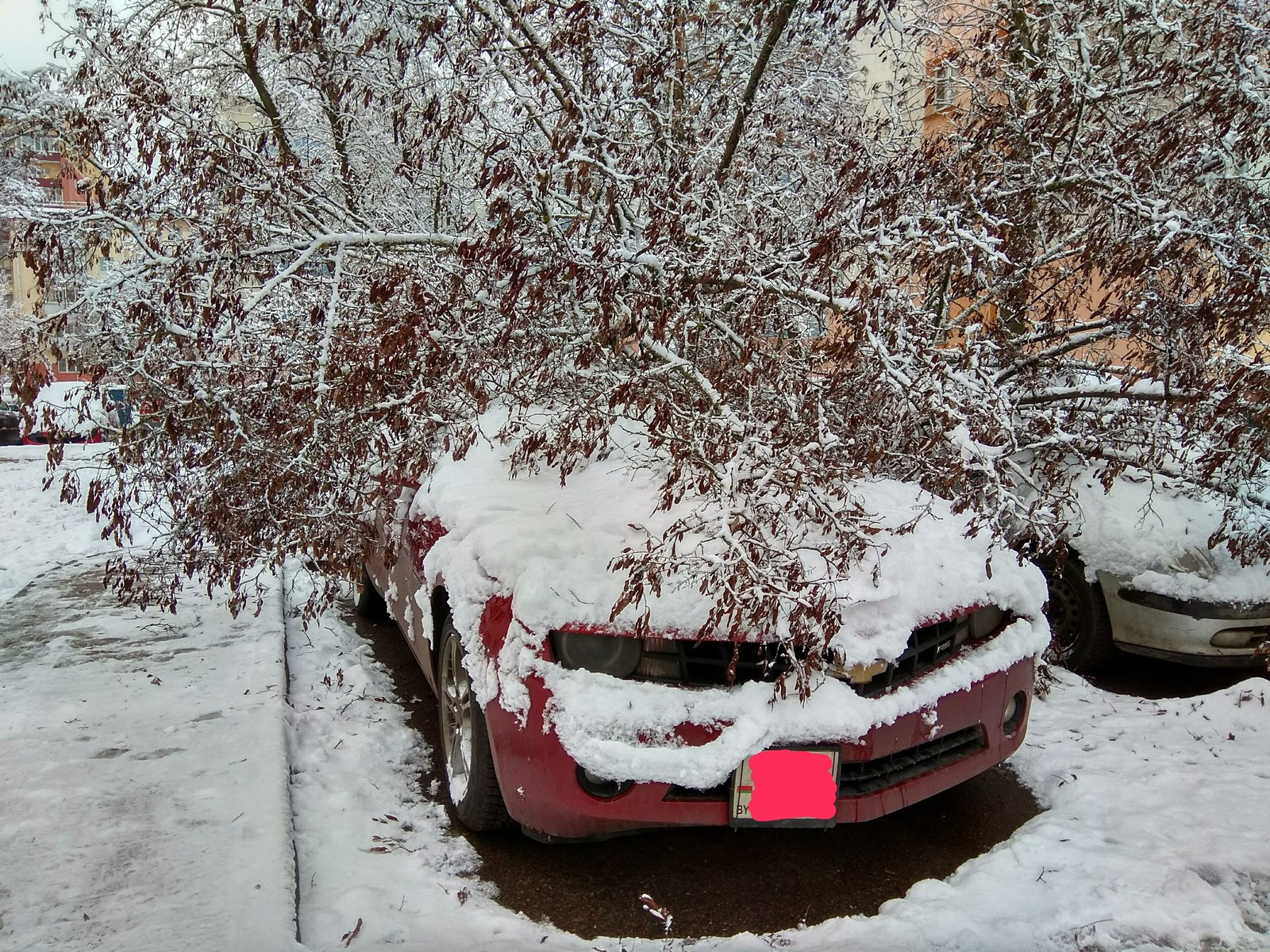 Camaro sorry... - My, Chevrolet camaro, Snow, Xiaomi Redmi Note 4X