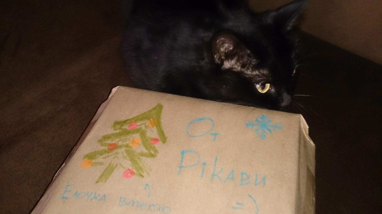 New Year's gift from Siberia - My, Secret Santa, Present, Presents, Longpost