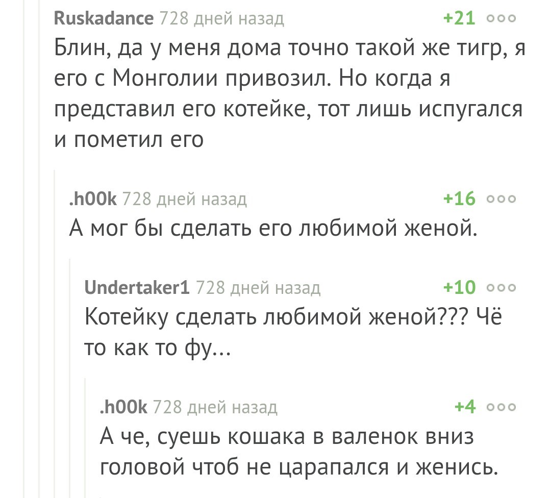 Лайфхак на Пикабу - Скриншот, Комментарии, Лайфхак, Брак, Кот, Тигр