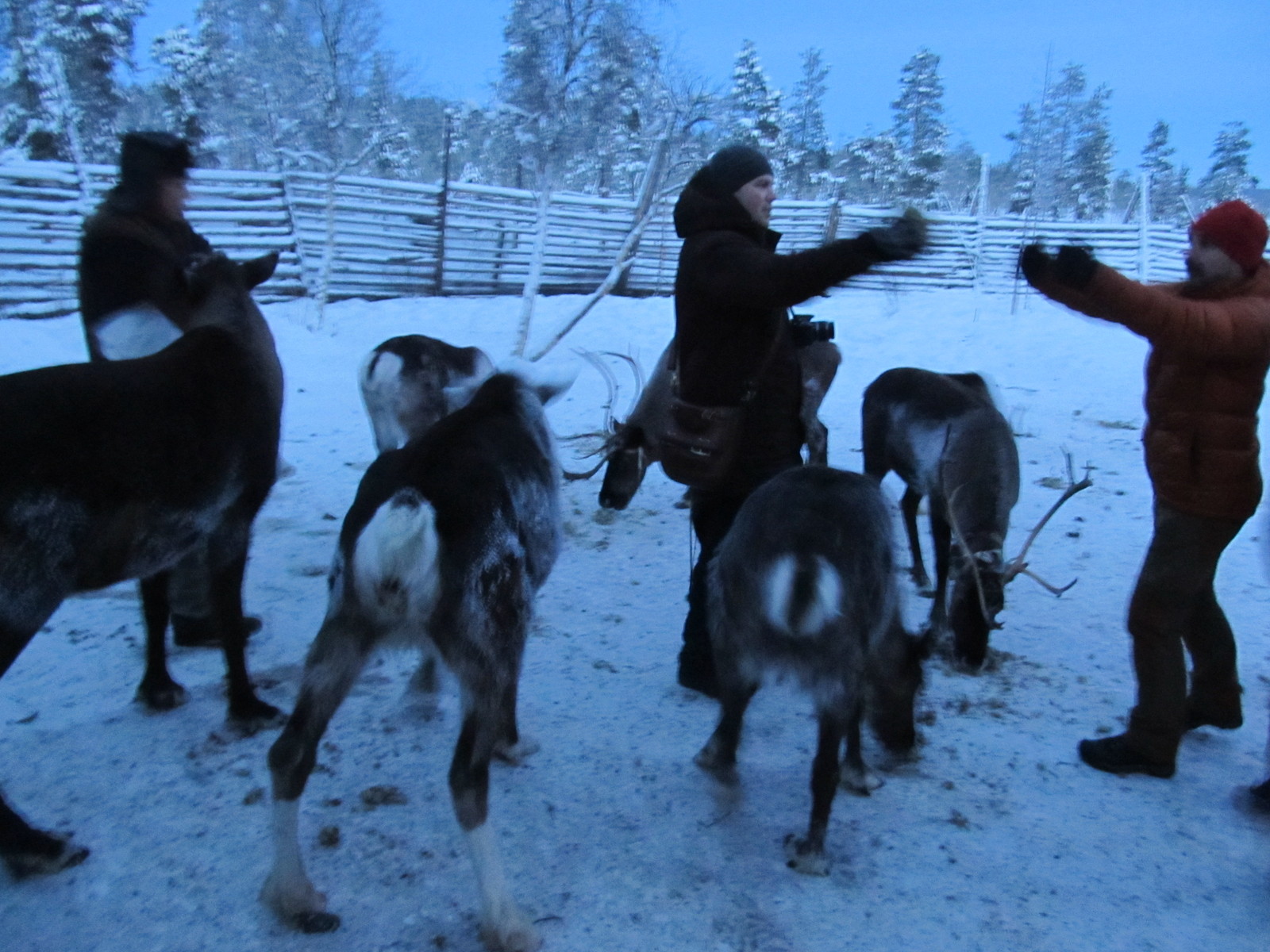 Vacation on the Kola Peninsula. - My, Murmansk, Murmansk region, Longpost, Travels