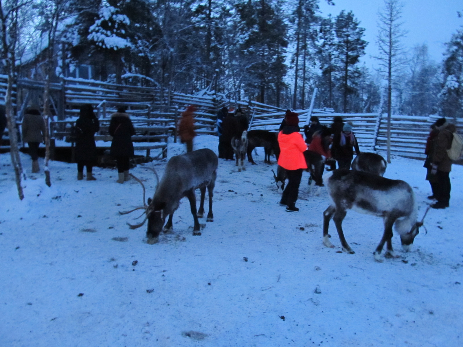 Vacation on the Kola Peninsula. - My, Murmansk, Murmansk region, Longpost, Travels