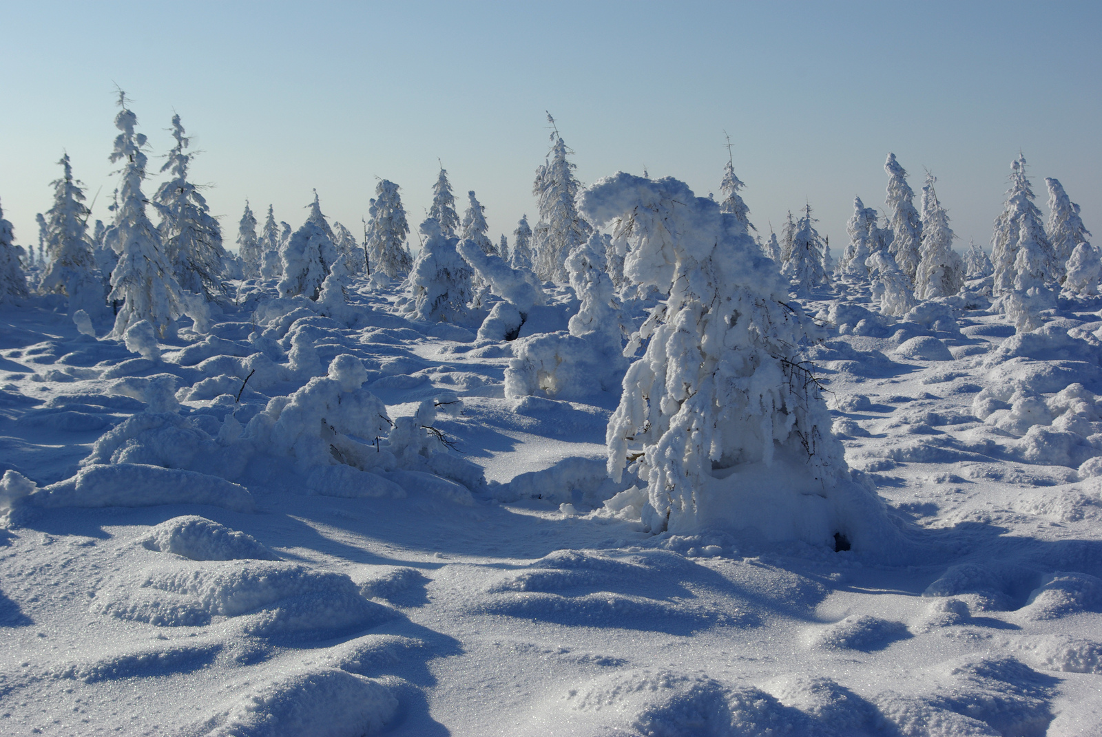 Зимний пейзаж Якутии Амма