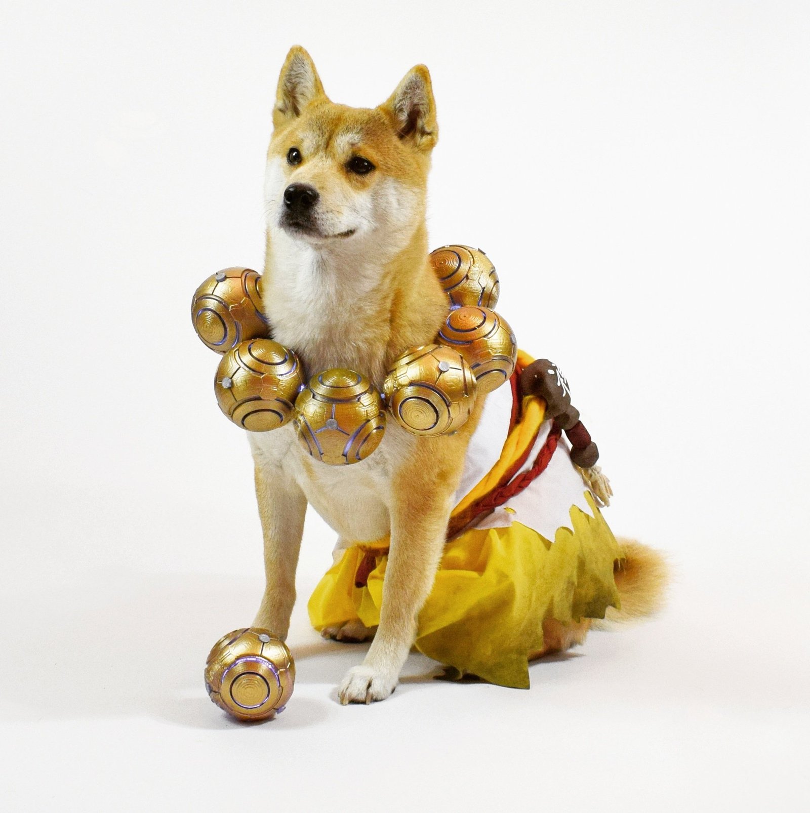 Everyone's favorite dog Vox again ^_^ - Overwatch, Shiba Inu, Zenyatta, Cosplay