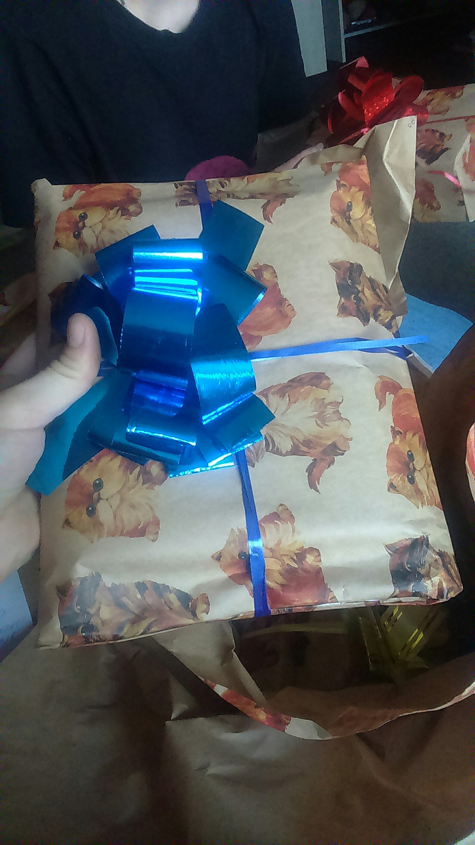 A gift from Tuapse, or a story about how to make three girls happy at once) - My, Gift exchange, Secret Santa, New Year, Presents, Happiness, Longpost