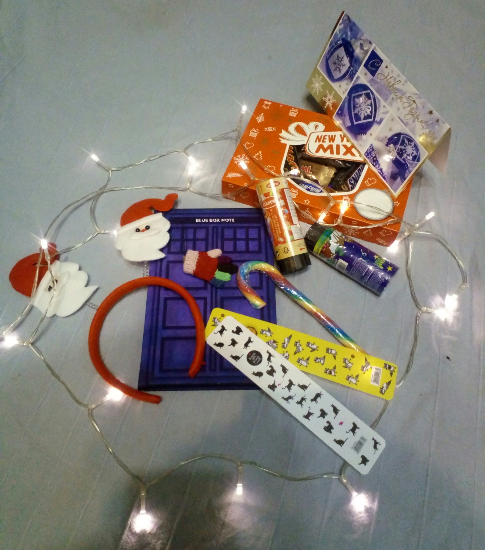 Hello from the second wave of Santa! - My, Doctor Who, Dog, New Year, Secret Santa, Longpost