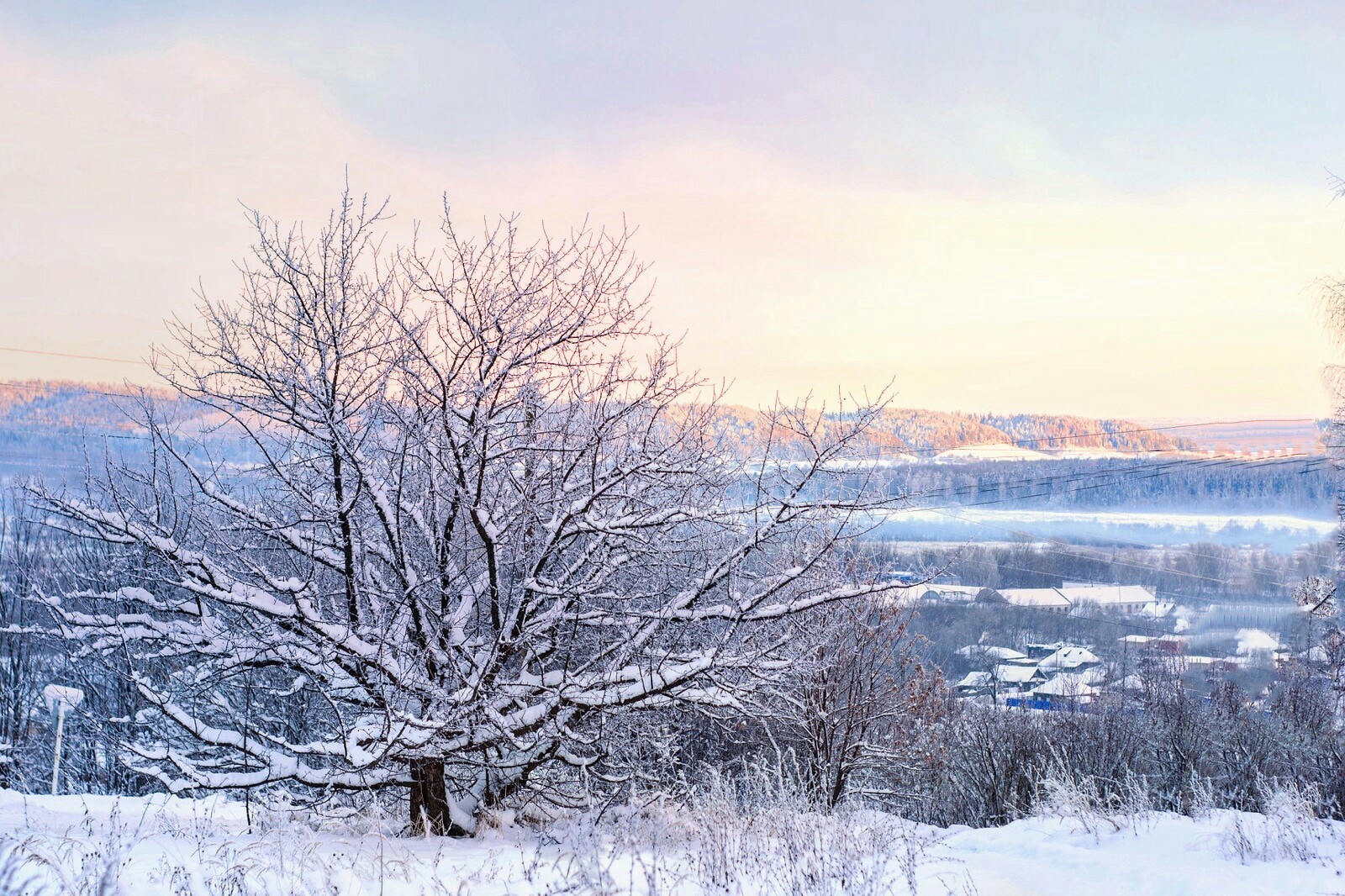 Frosty morning - My, The photo, Winter, I want criticism