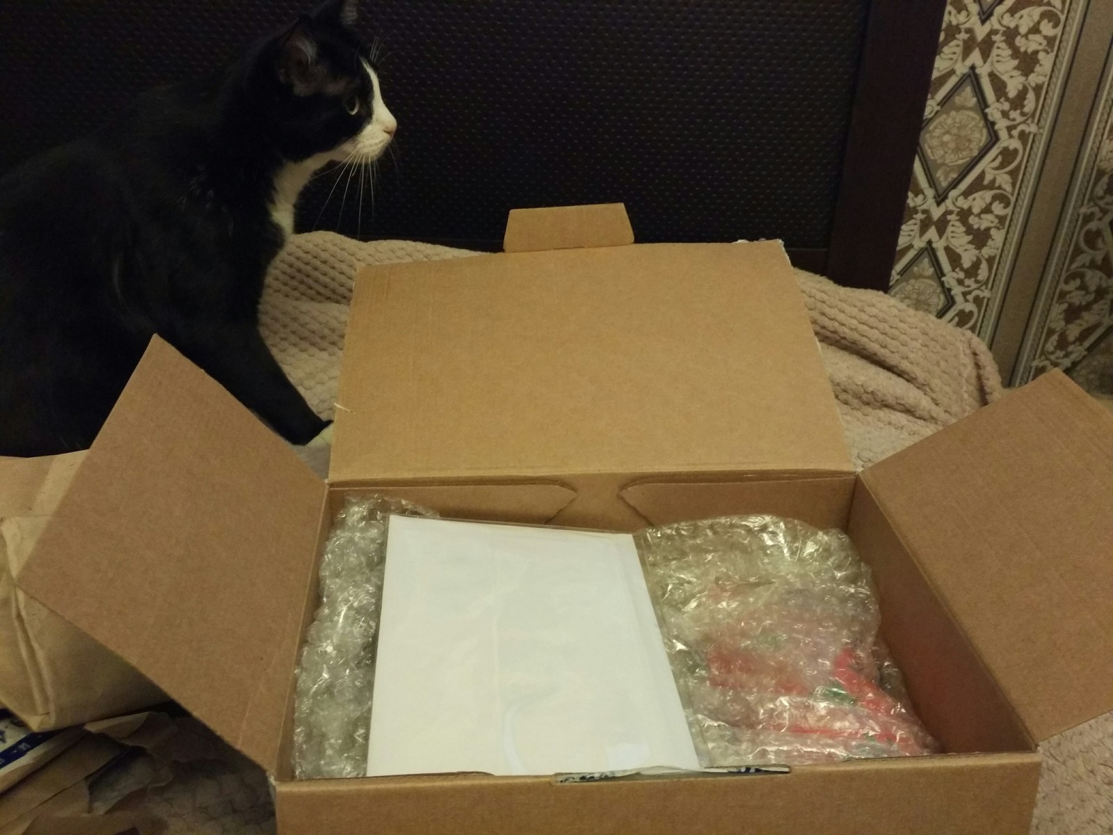 Omsk Santa is the best Santa! - My, Secret Santa, Gift exchange, New Year, Longpost, cat